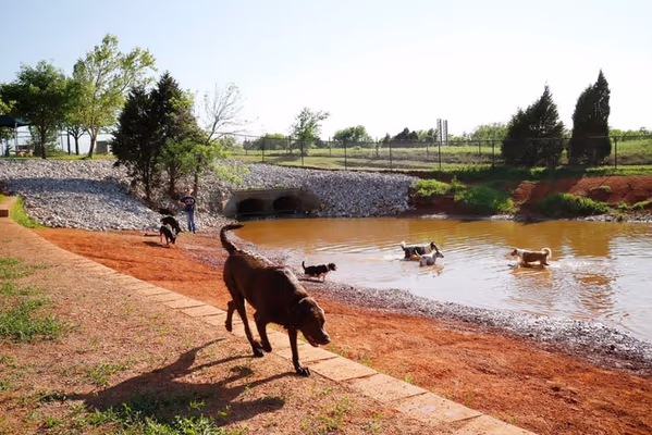 OKC PawPark photo 2